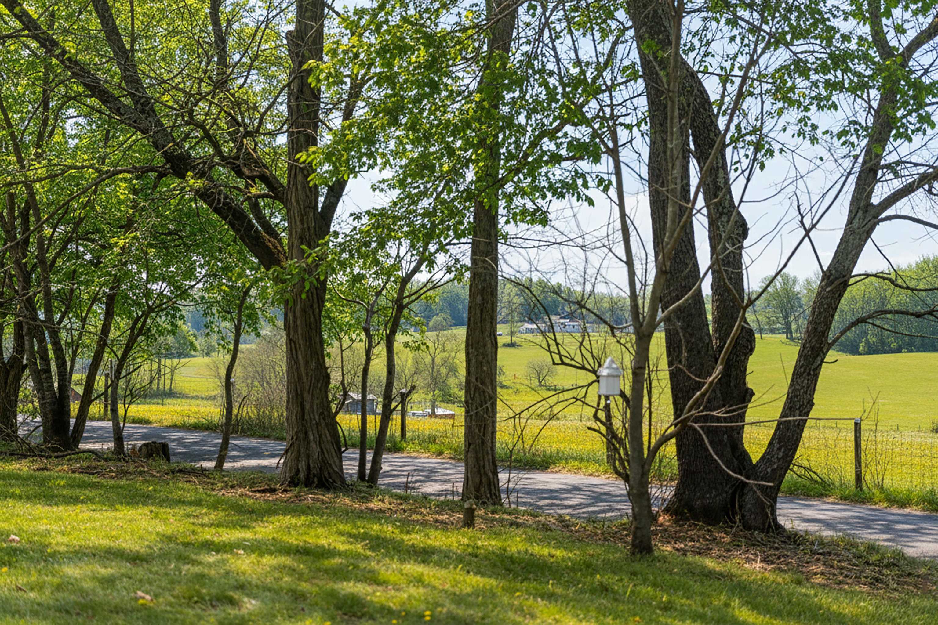 331 STONE BRANCH RD, STAUNTON, Virginia 24401, 3 Bedrooms Bedrooms, ,2 BathroomsBathrooms,Residential,331 STONE BRANCH RD,672484 MLS # 672484