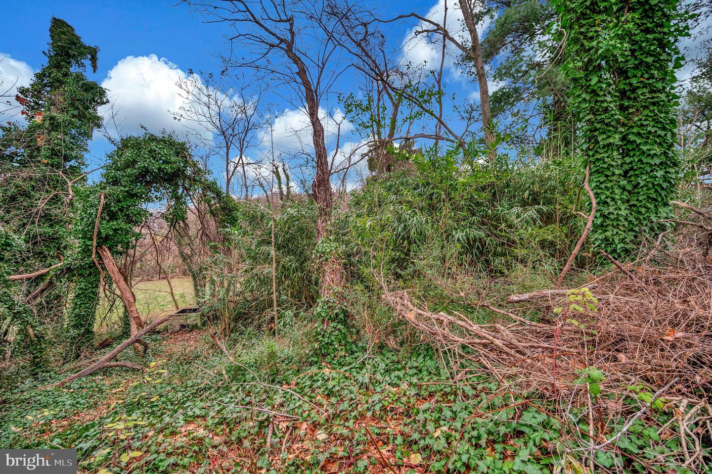 111 FORBES ST, FREDERICKSBURG, Virginia 22405, 2 Bedrooms Bedrooms, ,1 BathroomBathrooms,Residential,For sale,111 FORBES ST,VAST2044672 MLS # VAST2044672 111 FORBES ST, FREDERICKSBURG, Virginia 22405, 2 Bedrooms Bedrooms, ,1 BathroomBathrooms,Residential,For sale,111 FORBES ST,VAST2044672 MLS # VAST2044672