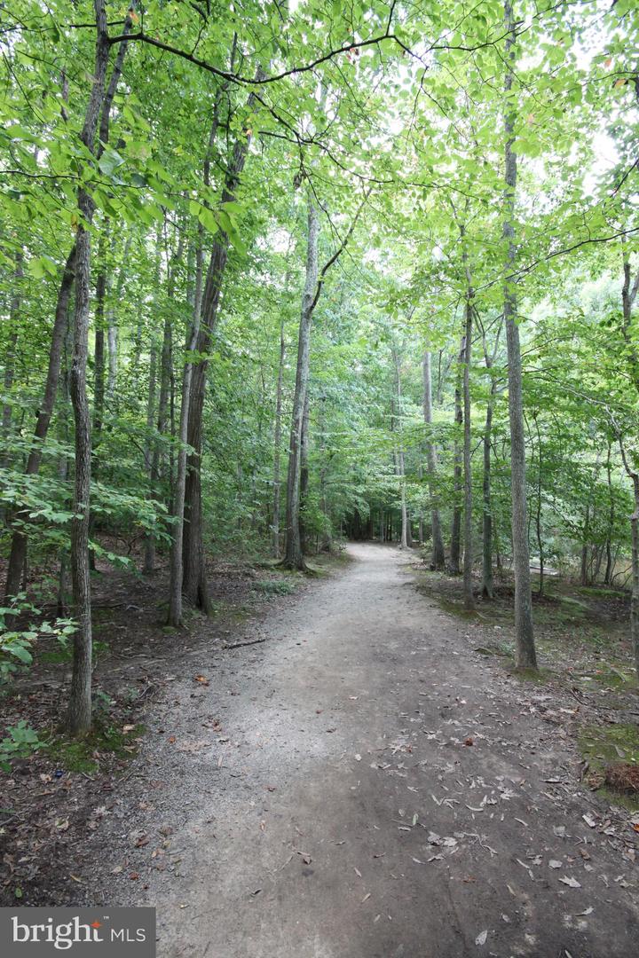 9820 WESTWOOD MANOR CT, BURKE, Virginia 22015, 5 Bedrooms Bedrooms, ,3 BathroomsBathrooms,Residential,For sale,9820 WESTWOOD MANOR CT,VAFX2282250 MLS # VAFX2282250