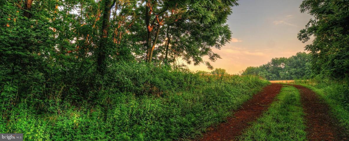 23055 WELBOURNE WALK CT, ASHBURN, Virginia 20148, 6 Bedrooms Bedrooms, ,4 BathroomsBathrooms,Residential,For sale,23055 WELBOURNE WALK CT,VALO2112416 MLS # VALO2112416