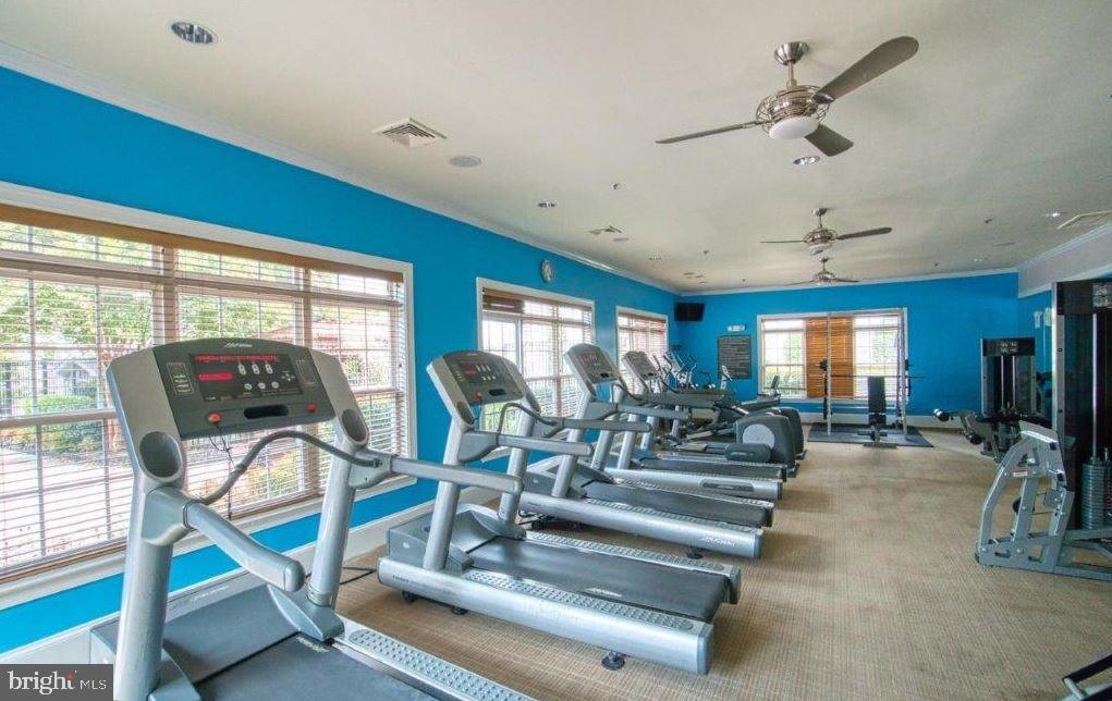 501 SUNSET VIEW TER SE #407, LEESBURG, Virginia 20175, 1 Bedroom Bedrooms, ,1 BathroomBathrooms,Residential,For sale,501 SUNSET VIEW TER SE #407,VALO2113740 MLS # VALO2113740