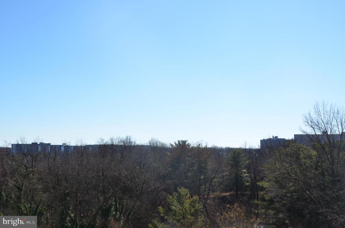 3705 S GEORGE MASON DR #708S, FALLS CHURCH, Virginia 22041, 3 Rooms Rooms,1 BathroomBathrooms,Residential,For sale,3705 S GEORGE MASON DR #708S,VAFX2285388 MLS # VAFX2285388