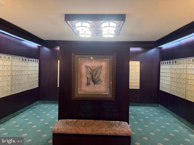 3705 S GEORGE MASON DR #708S, FALLS CHURCH, Virginia 22041, 3 Rooms Rooms,1 BathroomBathrooms,Residential,For sale,3705 S GEORGE MASON DR #708S,VAFX2285388 MLS # VAFX2285388