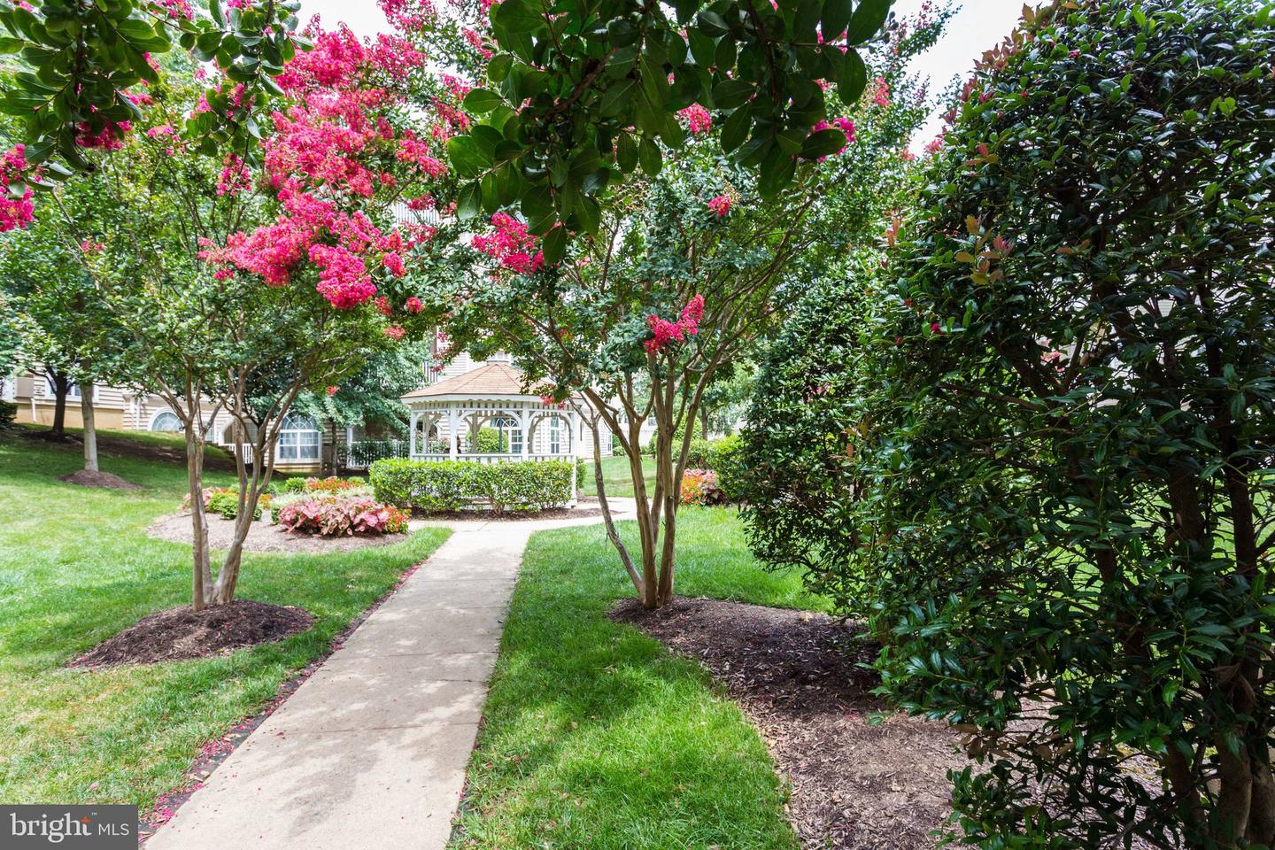 4560 STRUTFIELD LN #1110, ALEXANDRIA, Virginia 22311, 1 Bedroom Bedrooms, ,1 BathroomBathrooms,Residential,For sale,4560 STRUTFIELD LN #1110,VAAX2053152 MLS # VAAX2053152