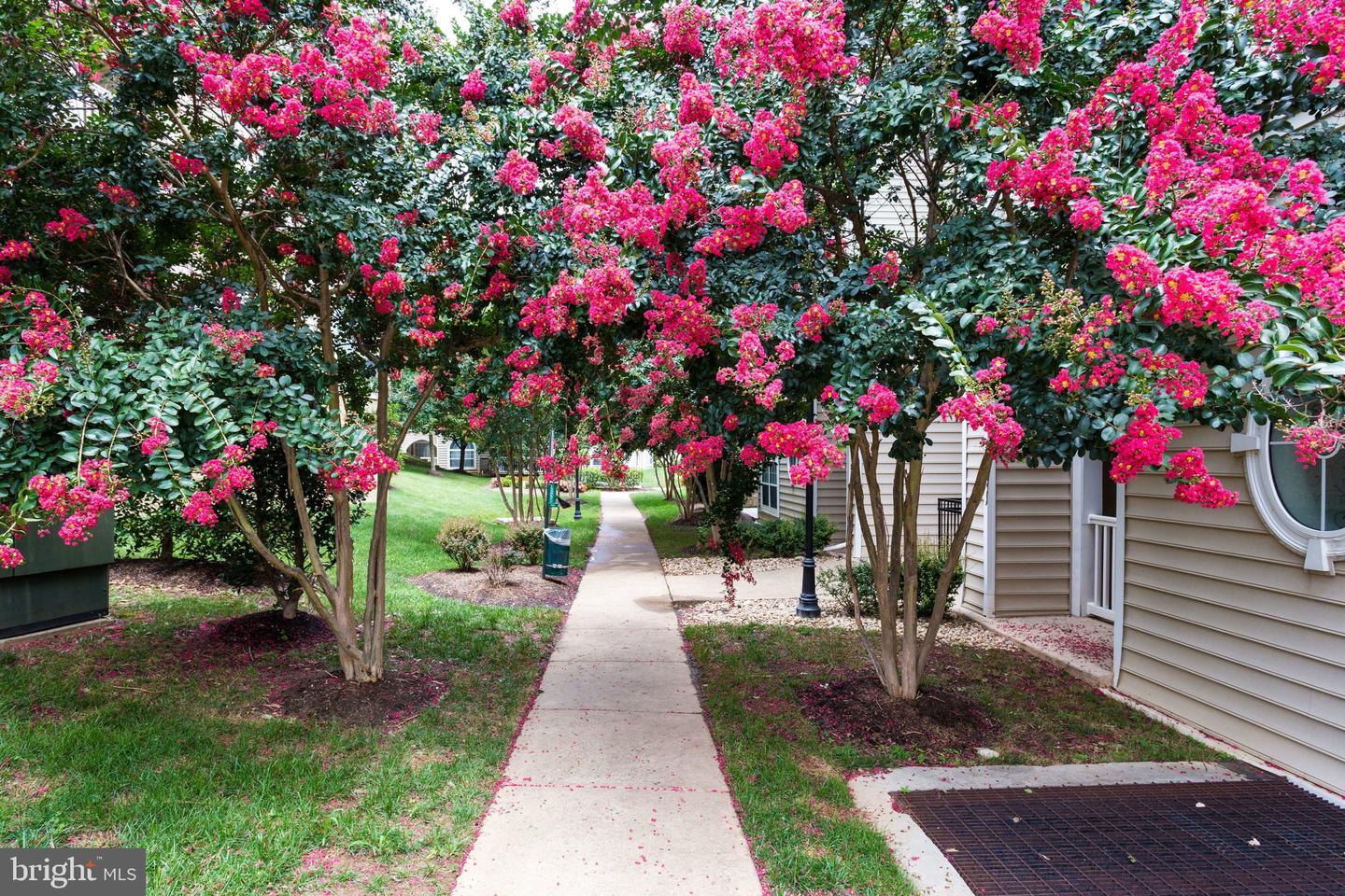 4560 STRUTFIELD LN #1110, ALEXANDRIA, Virginia 22311, 1 Bedroom Bedrooms, ,1 BathroomBathrooms,Residential,For sale,4560 STRUTFIELD LN #1110,VAAX2053152 MLS # VAAX2053152