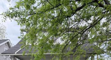 1622 EASTERN AVE NE, WASHINGTON, District Of Columbia 20019, ,Residential,For sale,1622 EASTERN AVE NE,DCDC2241340 MLS # DCDC2241340