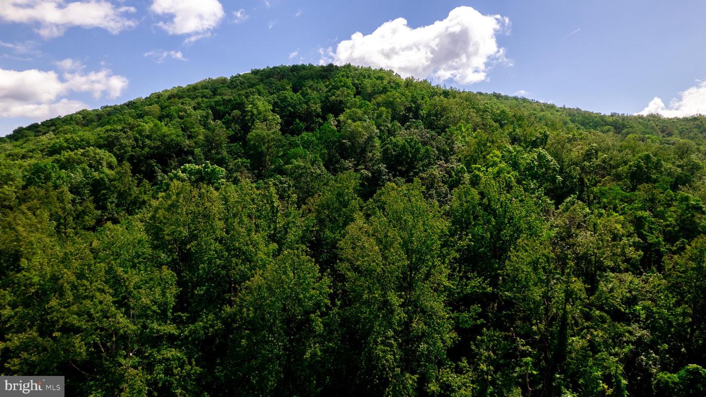 4179 FIERY RUN RD, LINDEN, Virginia 22642, 5 Bedrooms Bedrooms, ,2 BathroomsBathrooms,Residential,For sale,4179 FIERY RUN RD,VAFQ2020140 MLS # VAFQ2020140