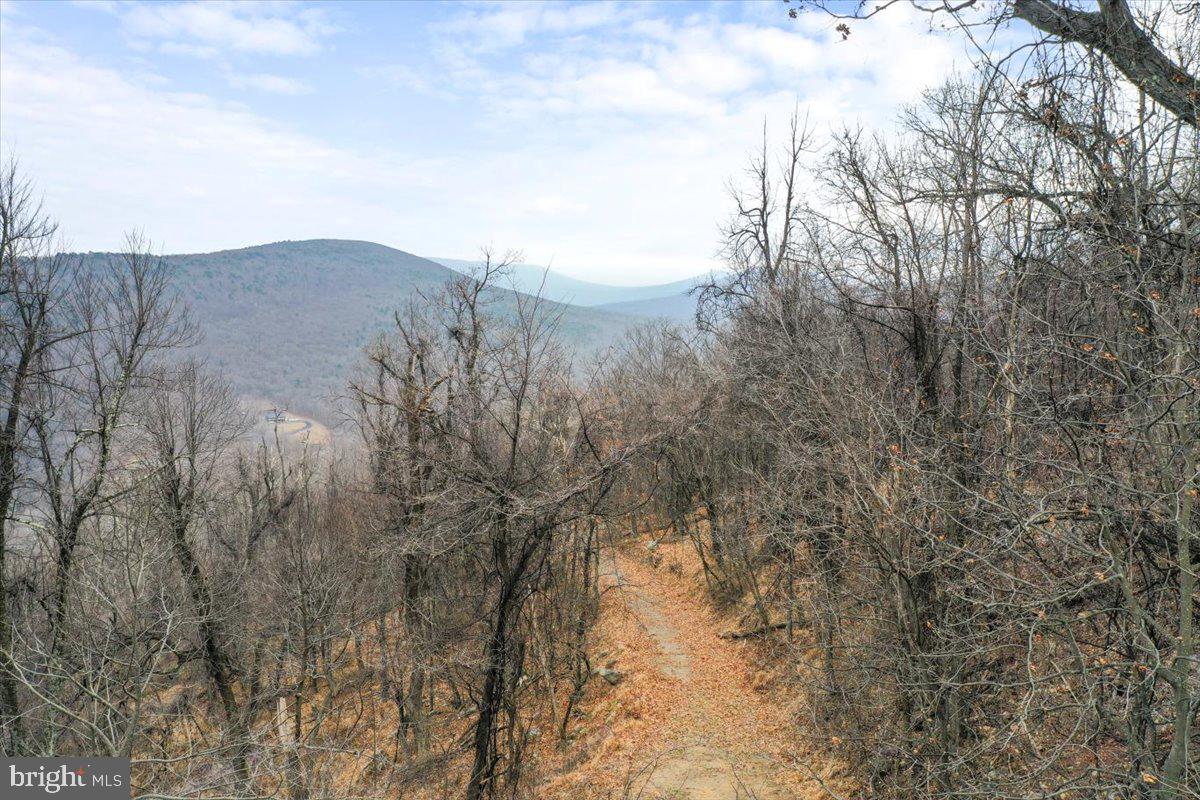 TBD SW SLOPE LANE, STAR TANNERY, Virginia 22654, ,Land,For sale,TBD SW SLOPE LANE,VAFV2038902 MLS # VAFV2038902