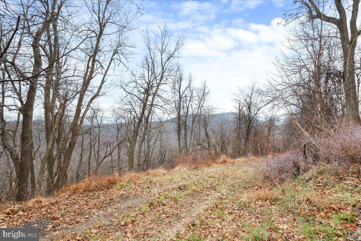 TBD SW SLOPE LANE, STAR TANNERY, Virginia 22654, ,Land,For sale,TBD SW SLOPE LANE,VAFV2038902 MLS # VAFV2038902