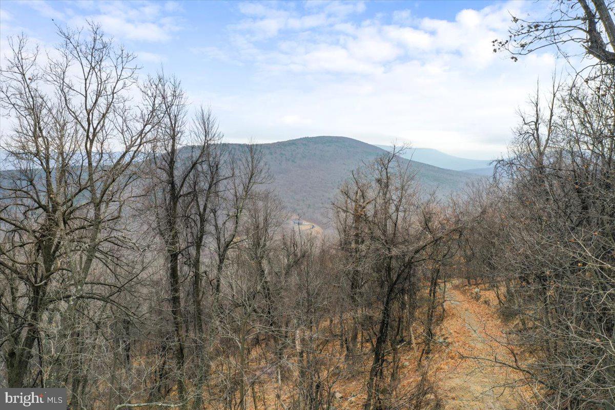 TBD SW SLOPE LANE, STAR TANNERY, Virginia 22654, ,Land,For sale,TBD SW SLOPE LANE,VAFV2038902 MLS # VAFV2038902