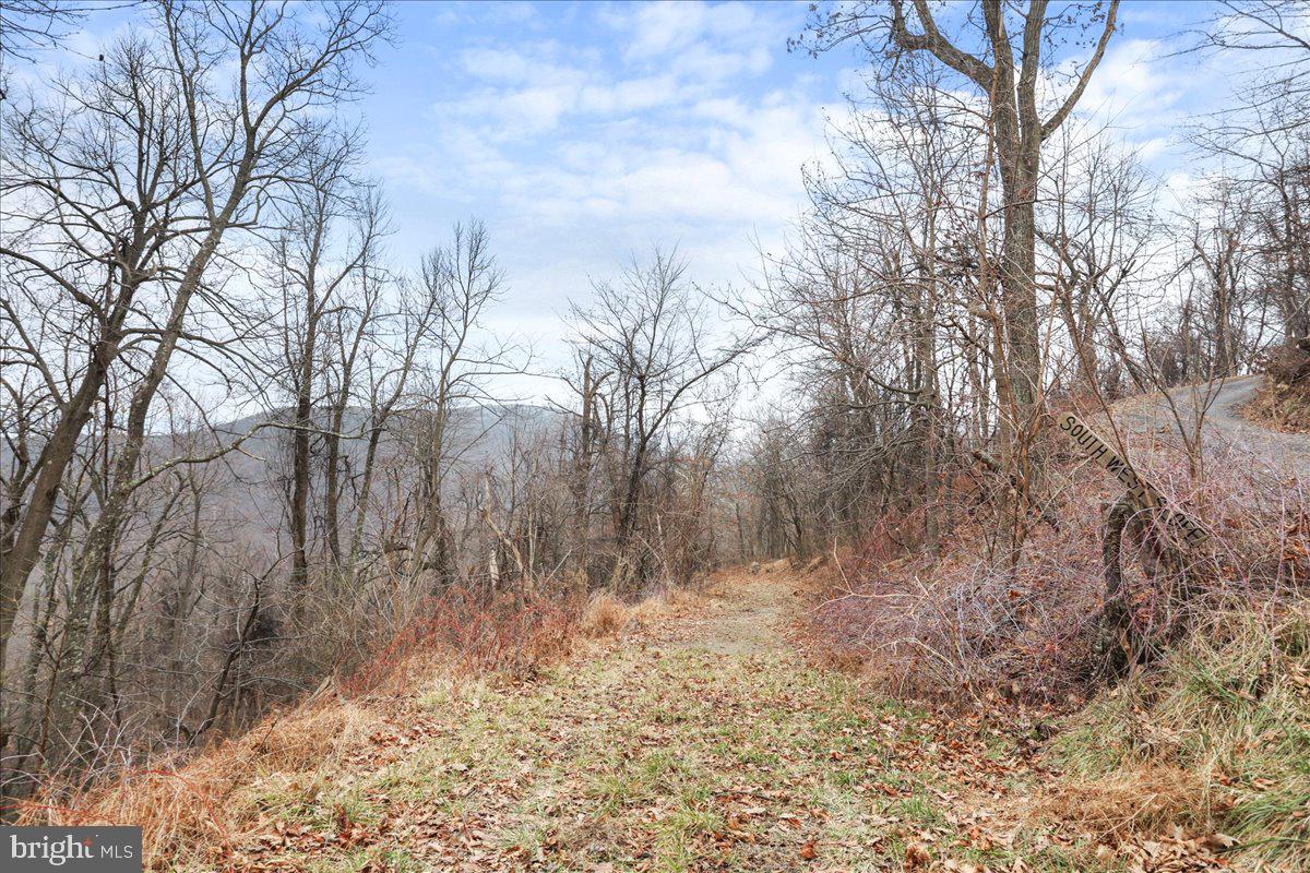 TBD SW SLOPE LANE, STAR TANNERY, Virginia 22654, ,Land,For sale,TBD SW SLOPE LANE,VAFV2038902 MLS # VAFV2038902