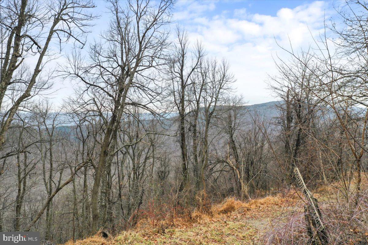 TBD SW SLOPE LANE, STAR TANNERY, Virginia 22654, ,Land,For sale,TBD SW SLOPE LANE,VAFV2038902 MLS # VAFV2038902