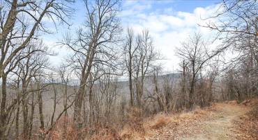 TBD SW SLOPE LANE, STAR TANNERY, Virginia 22654, ,Land,For sale,TBD SW SLOPE LANE,VAFV2038902 MLS # VAFV2038902