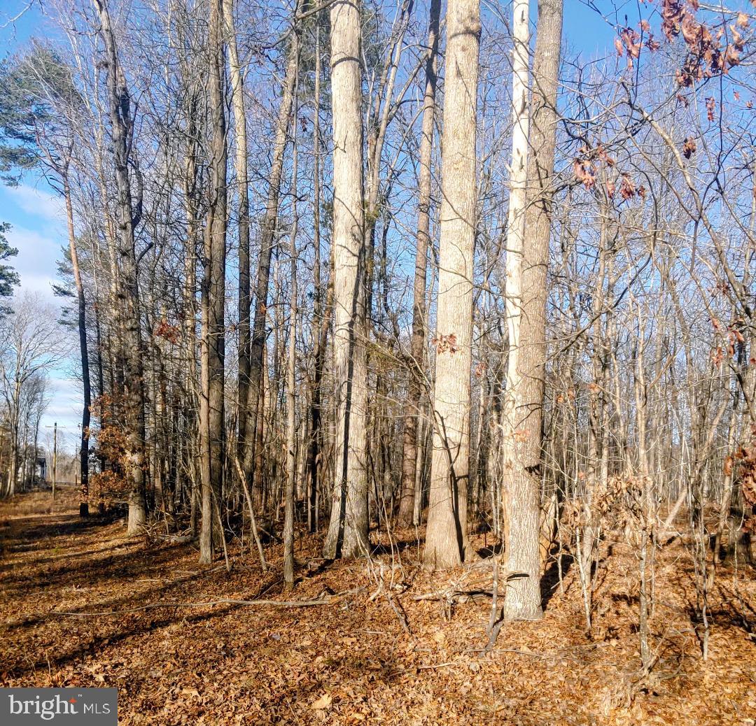 RIXEYVILLE RD. RTE. 229/ LOT 1 NEXT TO KIMBER LANE, CULPEPER, Virginia 22701, ,Land,For sale,RIXEYVILLE RD. RTE. 229/ LOT 1 NEXT TO KIMBER LANE,VACU2012424 MLS # VACU2012424