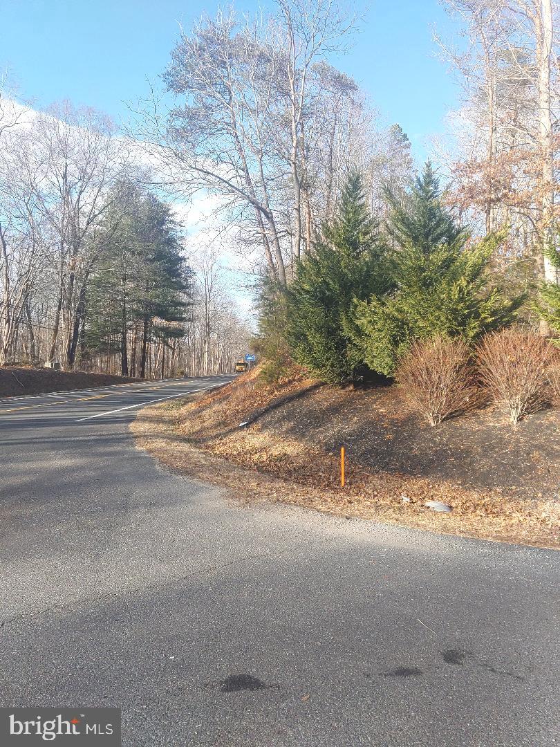 RIXEYVILLE RD. RTE. 229/ LOT 1 NEXT TO KIMBER LANE, CULPEPER, Virginia 22701, ,Land,For sale,RIXEYVILLE RD. RTE. 229/ LOT 1 NEXT TO KIMBER LANE,VACU2012424 MLS # VACU2012424