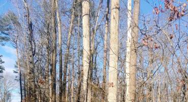 RIXEYVILLE RD. RTE. 229/ LOT 1 NEXT TO KIMBER LANE, CULPEPER, Virginia 22701, ,Land,For sale,RIXEYVILLE RD. RTE. 229/ LOT 1 NEXT TO KIMBER LANE,VACU2012424 MLS # VACU2012424