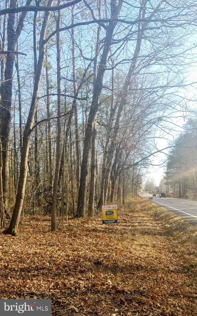 LOT 2 RIXEYVILLE RD. RTE 229, ADJ TO LOT 1, CULPEPER, Virginia 22701, ,Land,For sale,LOT 2 RIXEYVILLE RD. RTE 229, ADJ TO LOT 1,VACU2012428 MLS # VACU2012428
