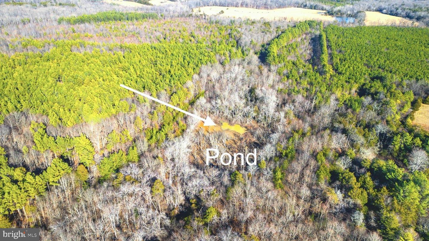 00 REDFIELDS RD, APPOMATTOX, Virginia 24522, ,Farm,For sale,00 REDFIELDS RD,VAAV2000048 MLS # VAAV2000048