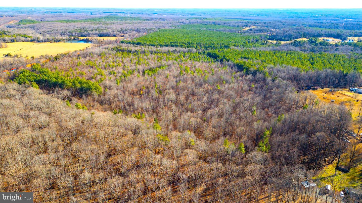 00 REDFIELDS RD, APPOMATTOX, Virginia 24522, ,Farm,For sale,00 REDFIELDS RD,VAAV2000048 MLS # VAAV2000048