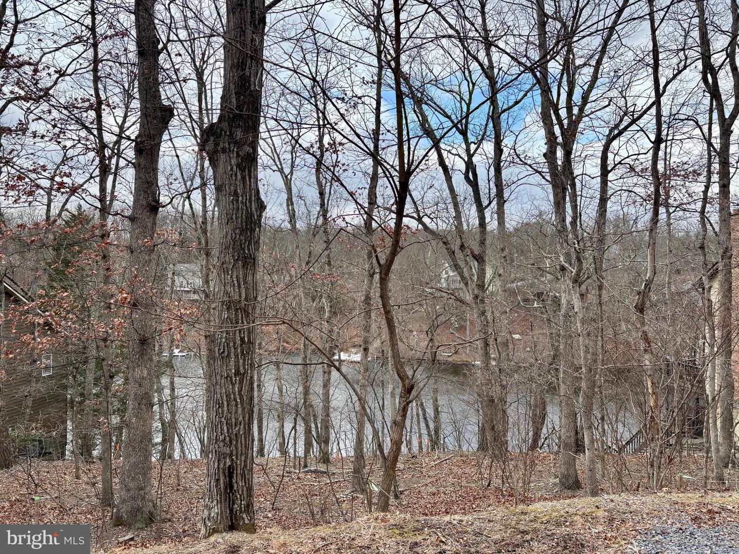 1065 LAKEVIEW DR, CROSS JUNCTION, Virginia 22625, ,Land,For sale,1065 LAKEVIEW DR,VAFV2039026 MLS # VAFV2039026