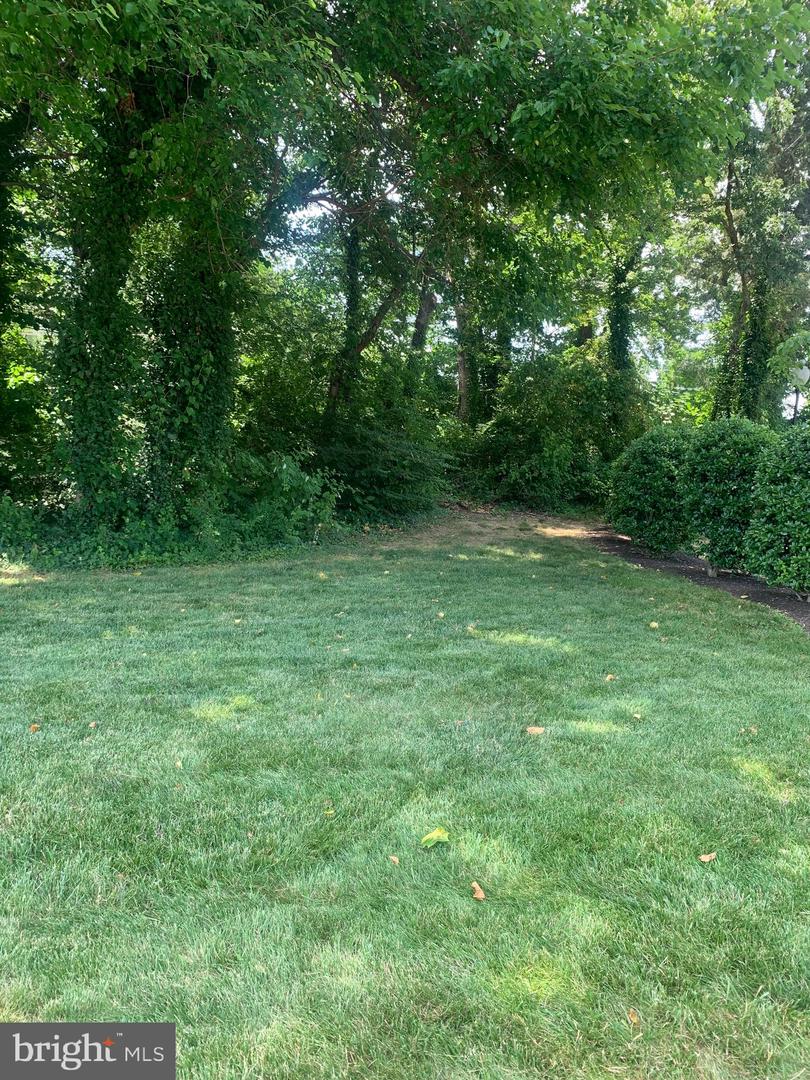 3245 RIO DR #307, FALLS CHURCH, Virginia 22041, 1 Bedroom Bedrooms, ,1 BathroomBathrooms,Residential,For sale,3245 RIO DR #307,VAFX2277186 MLS # VAFX2277186