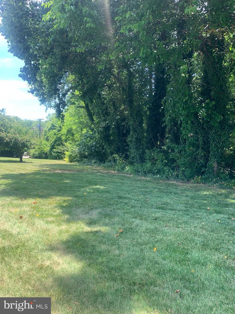 3245 RIO DR #307, FALLS CHURCH, Virginia 22041, 1 Bedroom Bedrooms, ,1 BathroomBathrooms,Residential,For sale,3245 RIO DR #307,VAFX2277186 MLS # VAFX2277186