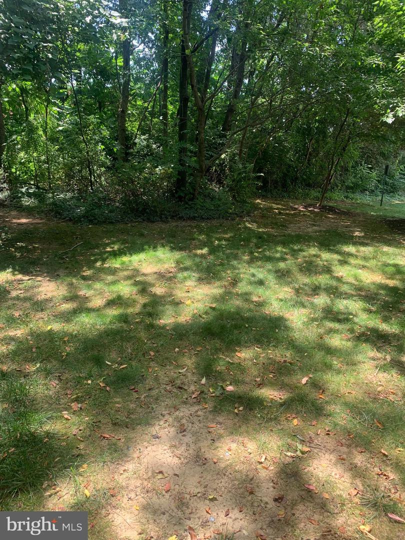 3245 RIO DR #307, FALLS CHURCH, Virginia 22041, 1 Bedroom Bedrooms, ,1 BathroomBathrooms,Residential,For sale,3245 RIO DR #307,VAFX2277186 MLS # VAFX2277186