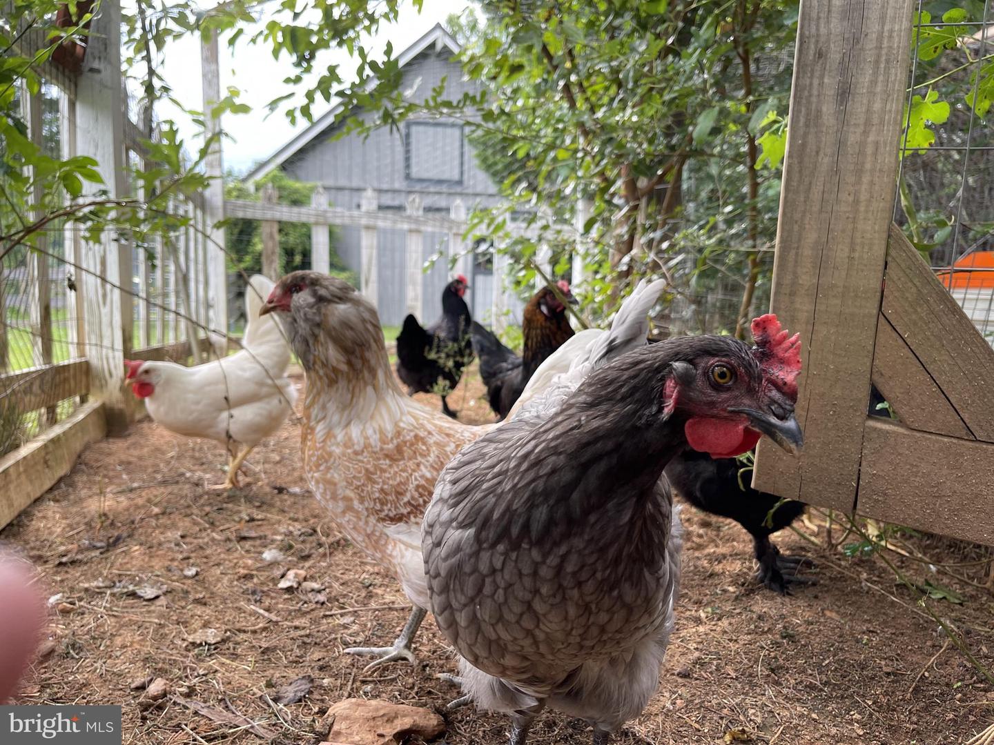 440 MONTPELIER RD, GREAT FALLS, Virginia 22066, 5 Bedrooms Bedrooms, ,4 BathroomsBathrooms,Residential,For sale,440 MONTPELIER RD,VAFX2281484 MLS # VAFX2281484