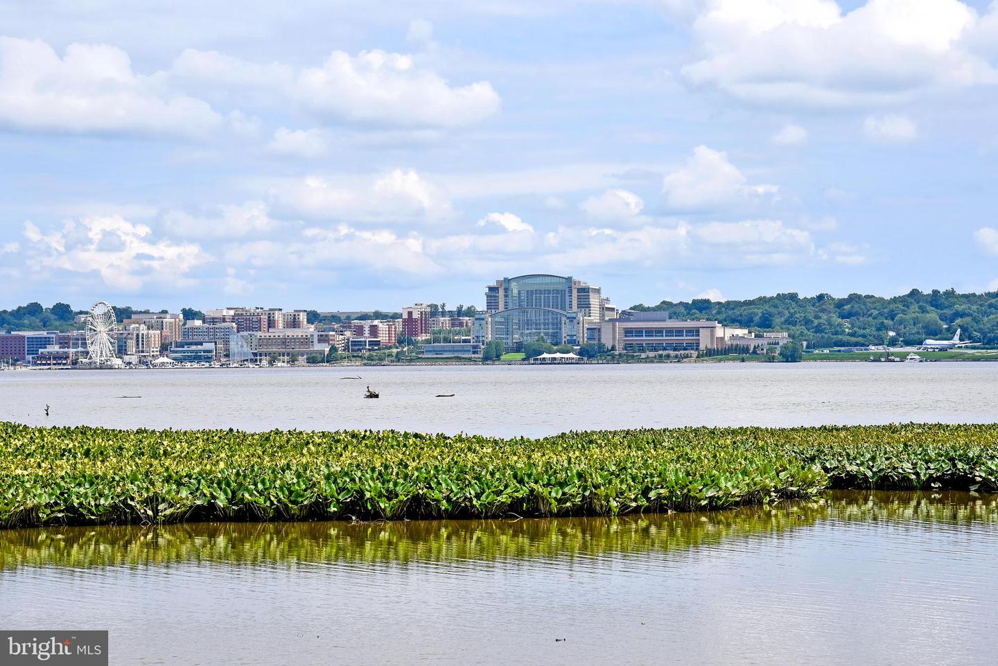 1250 S WASHINGTON ST #203, ALEXANDRIA, Virginia 22314, 2 Bedrooms Bedrooms, ,2 BathroomsBathrooms,Residential,For sale,1250 S WASHINGTON ST #203,VAAX2052264 MLS # VAAX2052264