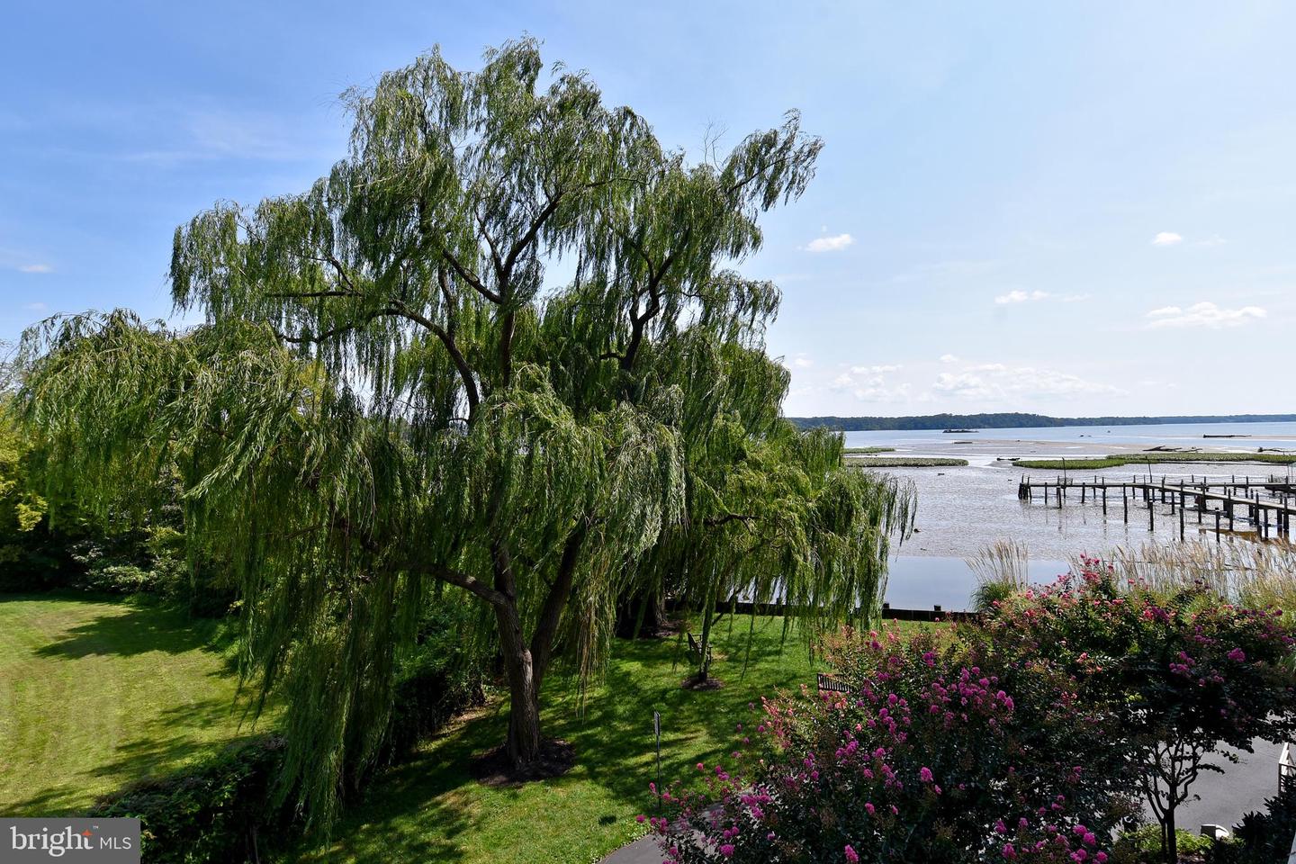 1250 S WASHINGTON ST #203, ALEXANDRIA, Virginia 22314, 2 Bedrooms Bedrooms, ,2 BathroomsBathrooms,Residential,For sale,1250 S WASHINGTON ST #203,VAAX2052264 MLS # VAAX2052264