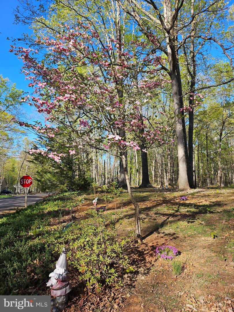 201 WASHINGTON ST, LOCUST GROVE, Virginia 22508, 3 Bedrooms Bedrooms, ,2 BathroomsBathrooms,Residential,For sale,201 WASHINGTON ST,VAOR2012978 MLS # VAOR2012978