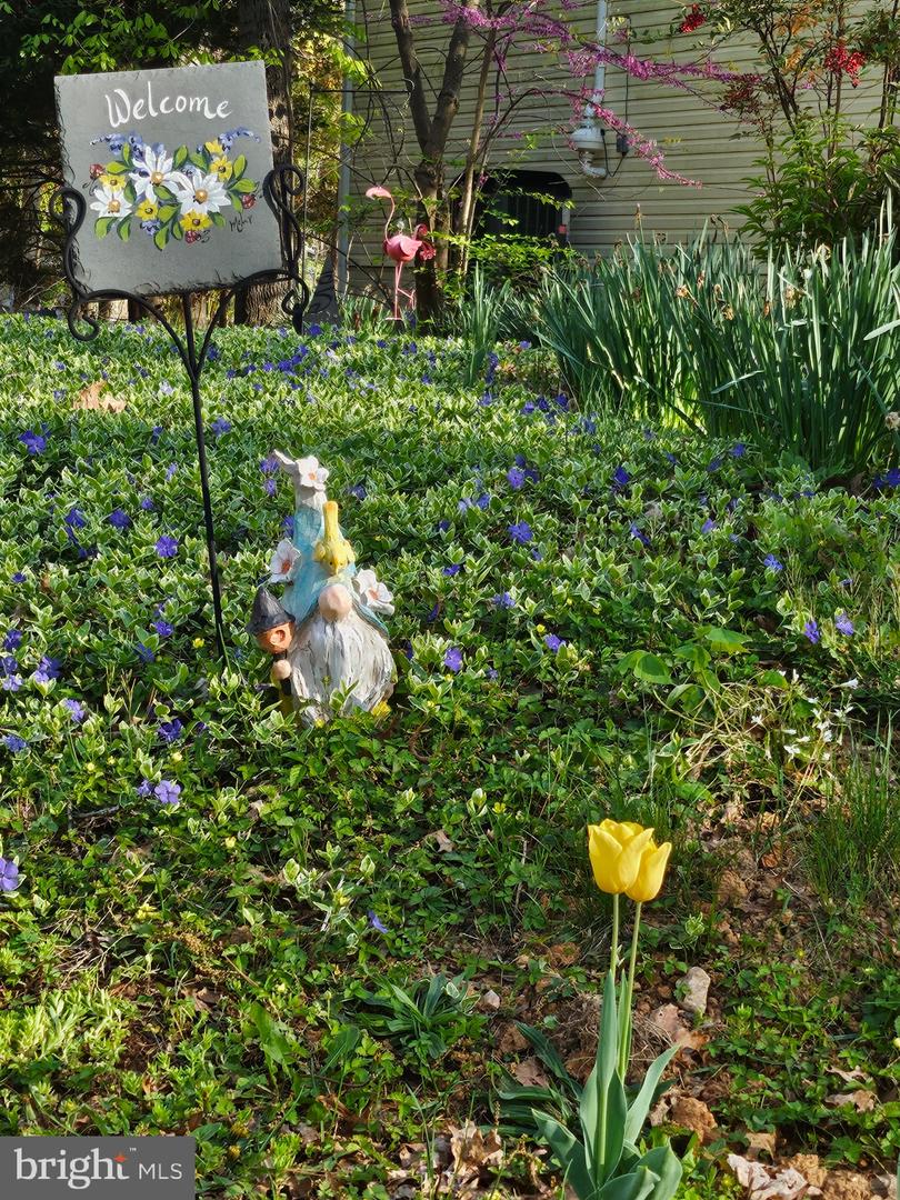 201 WASHINGTON ST, LOCUST GROVE, Virginia 22508, 3 Bedrooms Bedrooms, ,2 BathroomsBathrooms,Residential,For sale,201 WASHINGTON ST,VAOR2012978 MLS # VAOR2012978