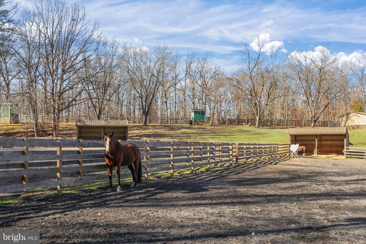 103 WINDY LN, LOCUST GROVE, Virginia 22508, 3 Bedrooms Bedrooms, 7 Rooms Rooms,2 BathroomsBathrooms,Residential,For sale,103 WINDY LN,VAOR2013024 MLS # VAOR2013024