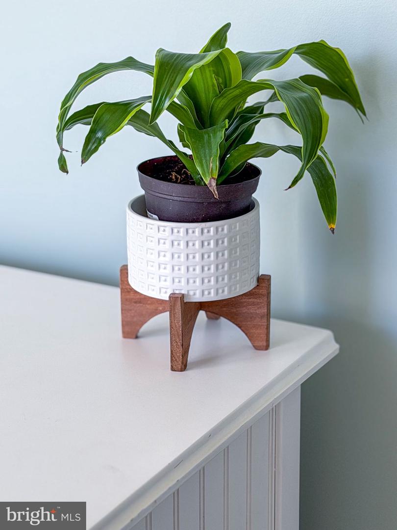 47 EASTER DR, STAFFORD, Virginia 22554, 5 Bedrooms Bedrooms, ,4 BathroomsBathrooms,Residential,For sale,47 EASTER DR,VAST2044862 MLS # VAST2044862