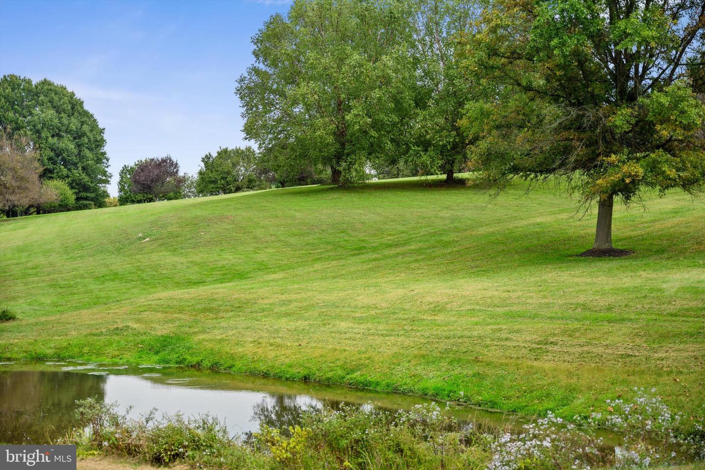 17290 QUAIL CREEK CIR, HAMILTON, Virginia 20158, 4 Bedrooms Bedrooms, ,4 BathroomsBathrooms,Residential,For sale,17290 QUAIL CREEK CIR,VALO2113088 MLS # VALO2113088