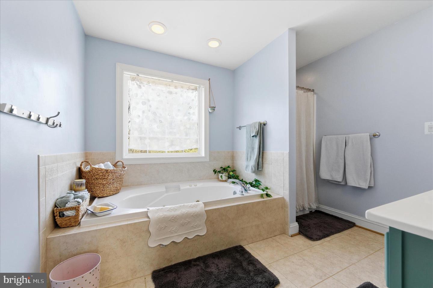 117 HERMITAGE BLVD, BERRYVILLE, Virginia 22611, 5 Bedrooms Bedrooms, ,5 BathroomsBathrooms,Residential,For sale,117 HERMITAGE BLVD,VACL2006292 MLS # VACL2006292