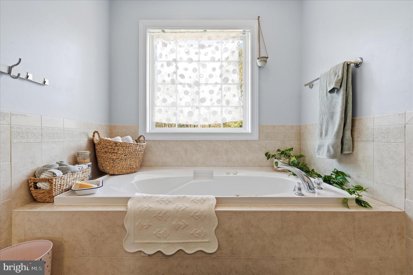 117 HERMITAGE BLVD, BERRYVILLE, Virginia 22611, 5 Bedrooms Bedrooms, ,5 BathroomsBathrooms,Residential,For sale,117 HERMITAGE BLVD,VACL2006292 MLS # VACL2006292