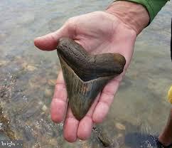 1077 N INDEPENDENCE DR, MONTROSS, Virginia 22520, 3 Bedrooms Bedrooms, 5 Rooms Rooms,2 BathroomsBathrooms,Residential,For sale,1077 N INDEPENDENCE DR,VAWE2010350 MLS # VAWE2010350