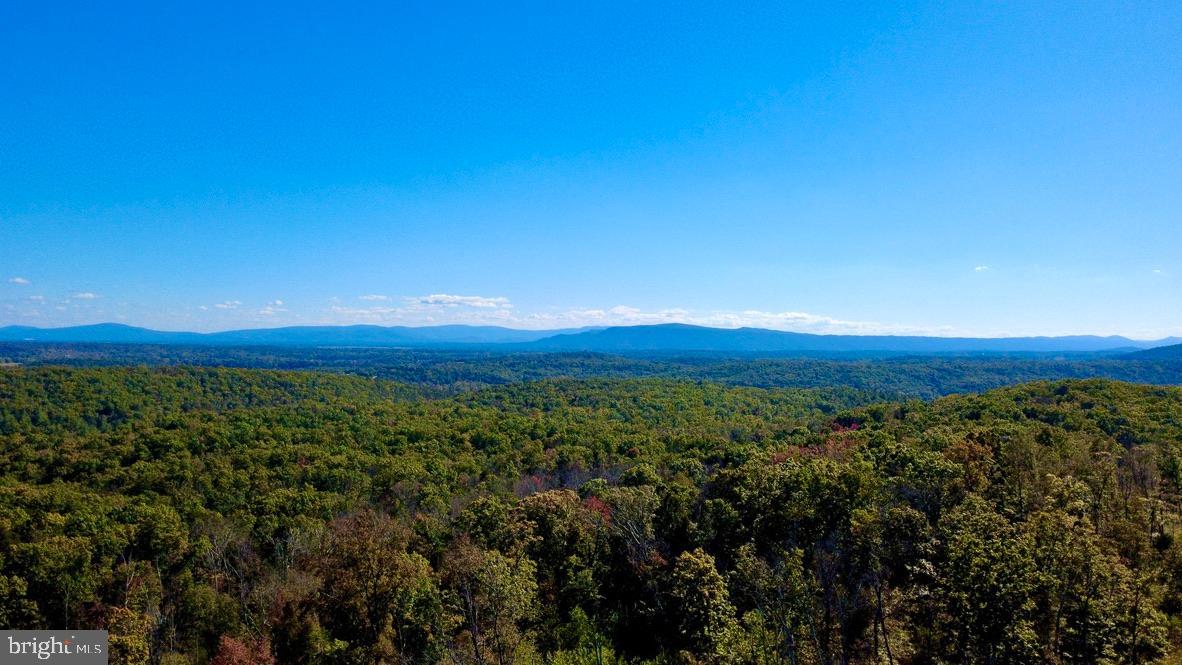 152.44 ACRES LOT 2 LAUREL GROVE RD, WINCHESTER, Virginia 22602, 3 Bedrooms Bedrooms, ,2 BathroomsBathrooms,Residential,For sale,152.44 ACRES LOT 2 LAUREL GROVE RD,VAFV2038842 MLS # VAFV2038842