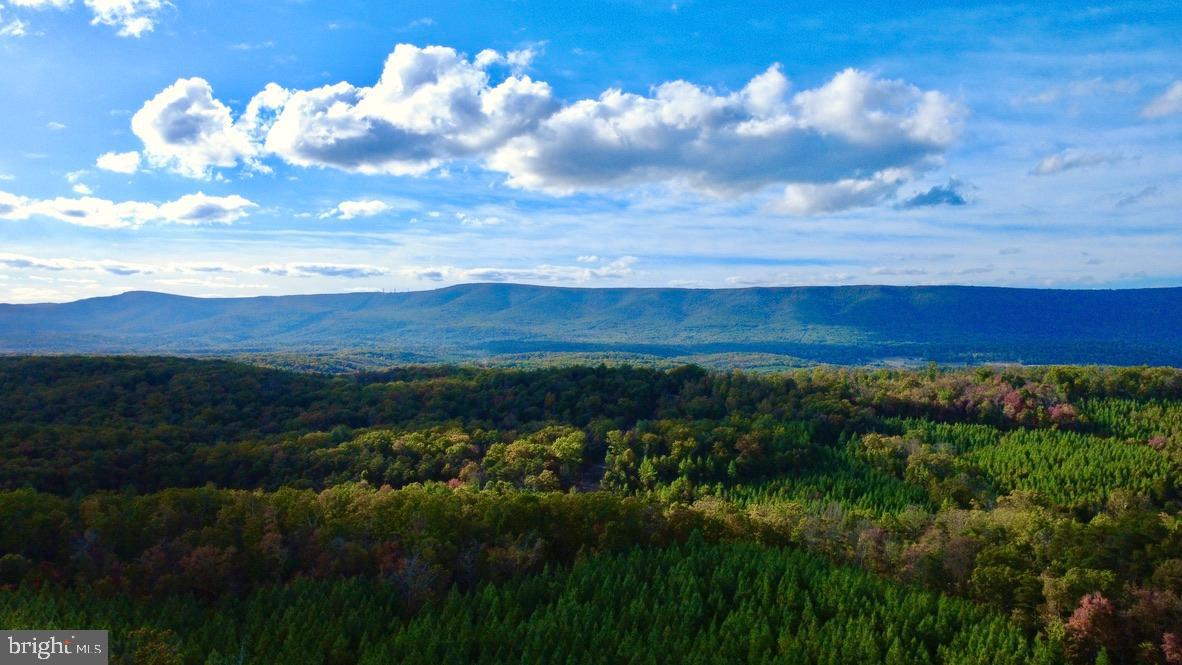 152.44 ACRES LOT 2 LAUREL GROVE RD, WINCHESTER, Virginia 22602, 3 Bedrooms Bedrooms, ,2 BathroomsBathrooms,Residential,For sale,152.44 ACRES LOT 2 LAUREL GROVE RD,VAFV2038842 MLS # VAFV2038842