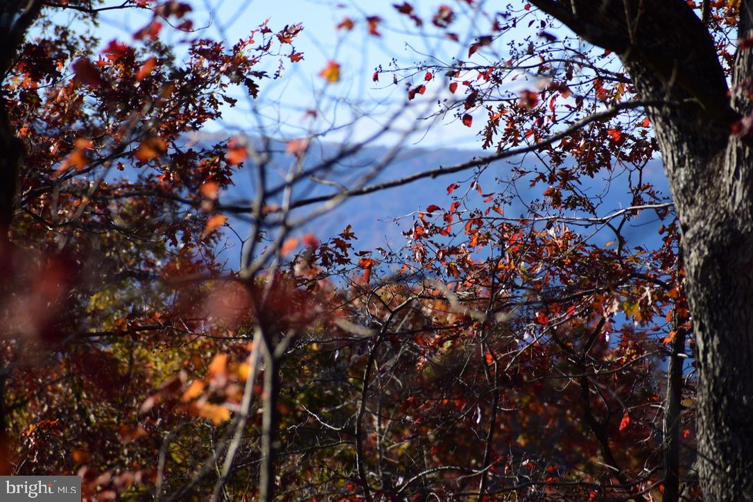 152.44 ACRES LOT 2 LAUREL GROVE RD, WINCHESTER, Virginia 22602, 3 Bedrooms Bedrooms, ,2 BathroomsBathrooms,Residential,For sale,152.44 ACRES LOT 2 LAUREL GROVE RD,VAFV2038842 MLS # VAFV2038842