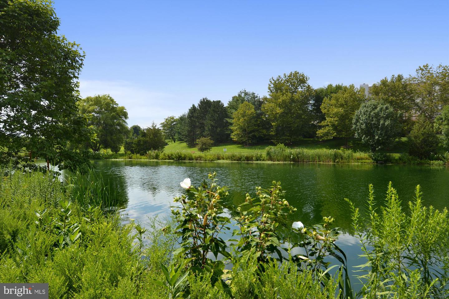 44211 PALLADIAN CT, ASHBURN, Virginia 20147, 5 Bedrooms Bedrooms, ,3 BathroomsBathrooms,Residential,For sale,44211 PALLADIAN CT,VALO2113840 MLS # VALO2113840