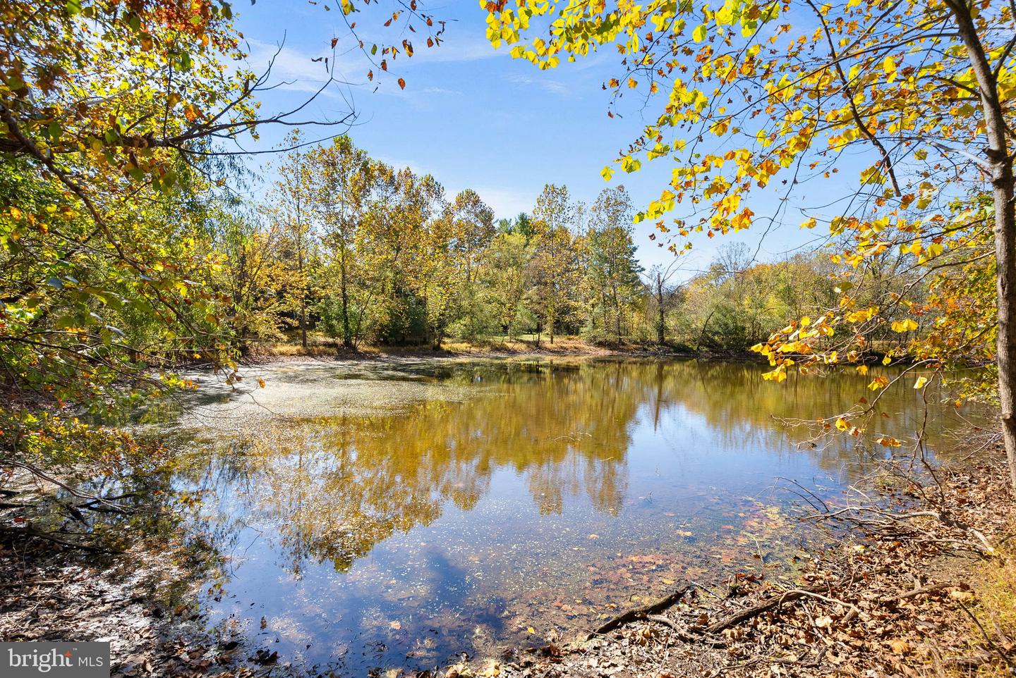 16309 HAMILTON STATION RD, WATERFORD, Virginia 20197, 3 Bedrooms Bedrooms, ,4 BathroomsBathrooms,Residential,For sale,16309 HAMILTON STATION RD,VALO2113880 MLS # VALO2113880