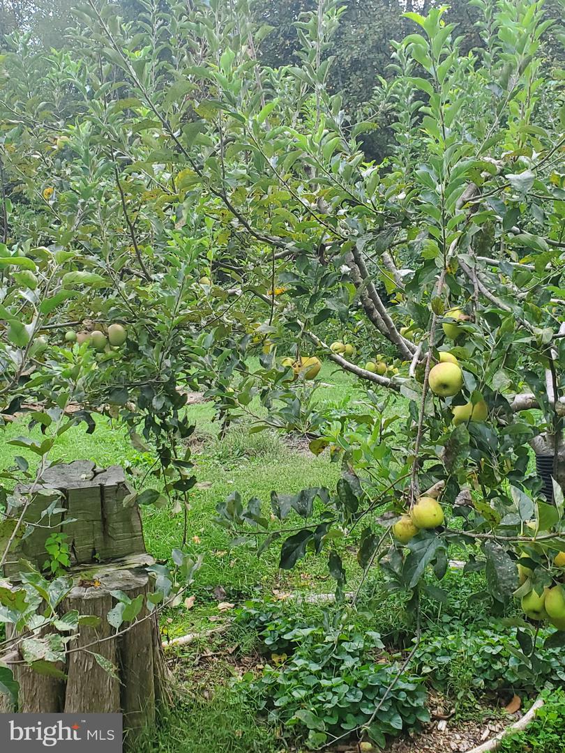 312 TIMBER TRL, SPOTSYLVANIA, Virginia 22551, 3 Bedrooms Bedrooms, ,2 BathroomsBathrooms,Residential,For sale,312 TIMBER TRL,VASP2038616 MLS # VASP2038616