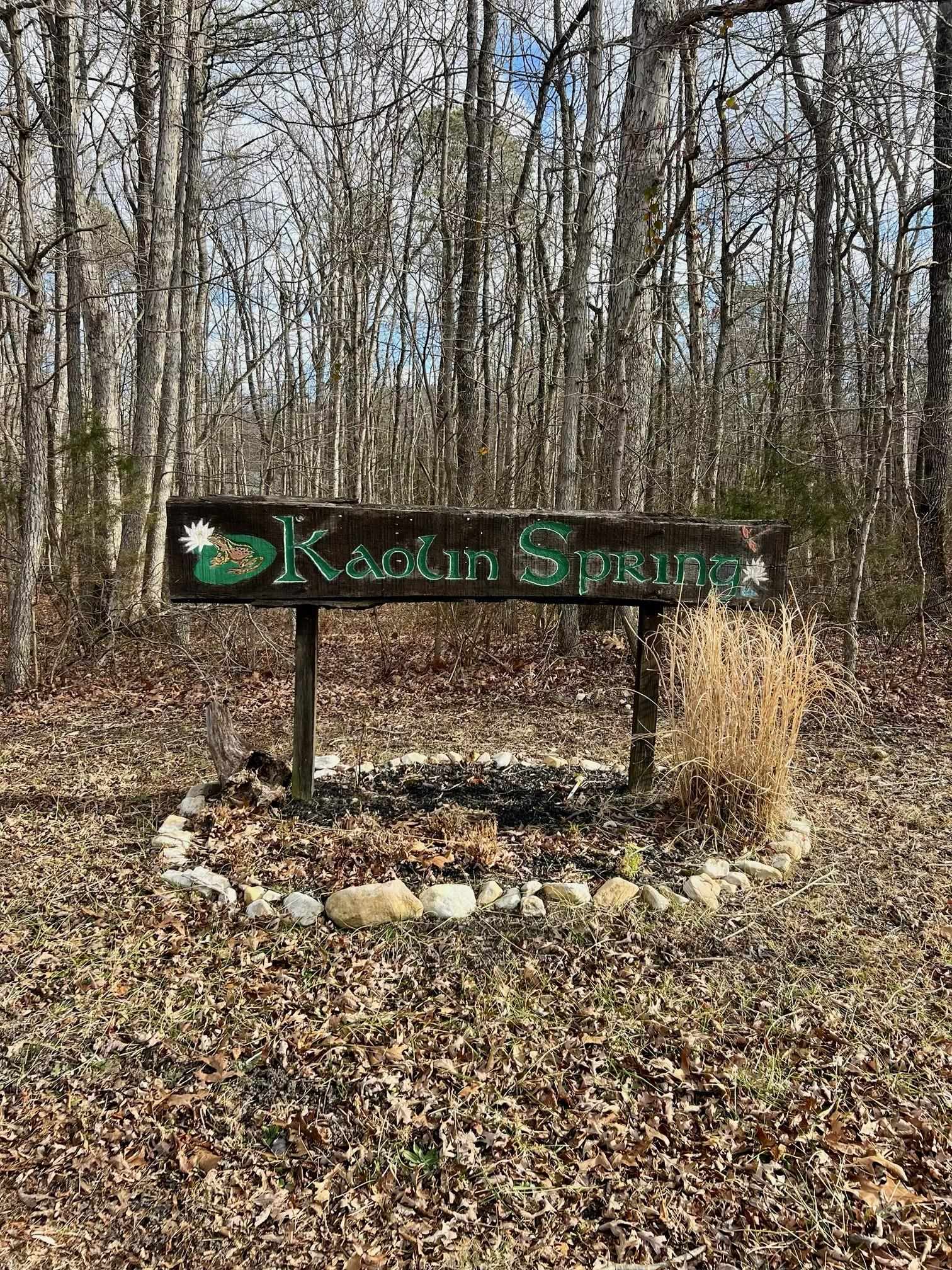 TBD KAOLIN SPRING LN, GREENVILLE, Virginia 24440, ,Land,TBD KAOLIN SPRING LN,672537 MLS # 672537