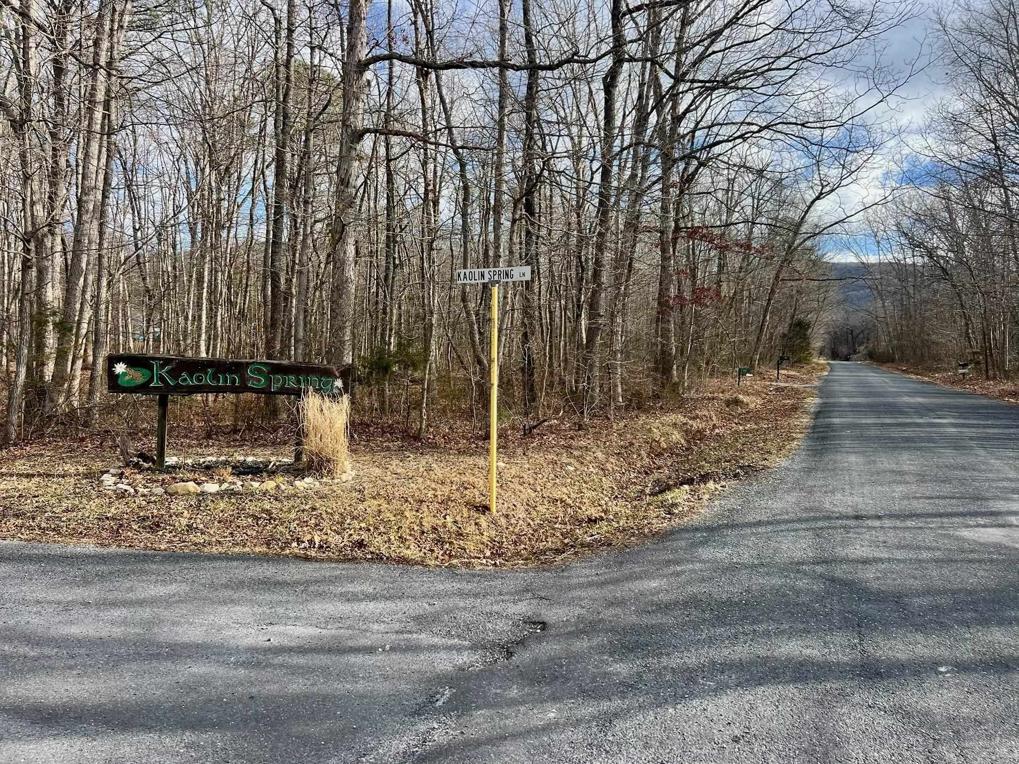 TBD KAOLIN SPRING LN, GREENVILLE, Virginia 24440, ,Land,TBD KAOLIN SPRING LN,672537 MLS # 672537