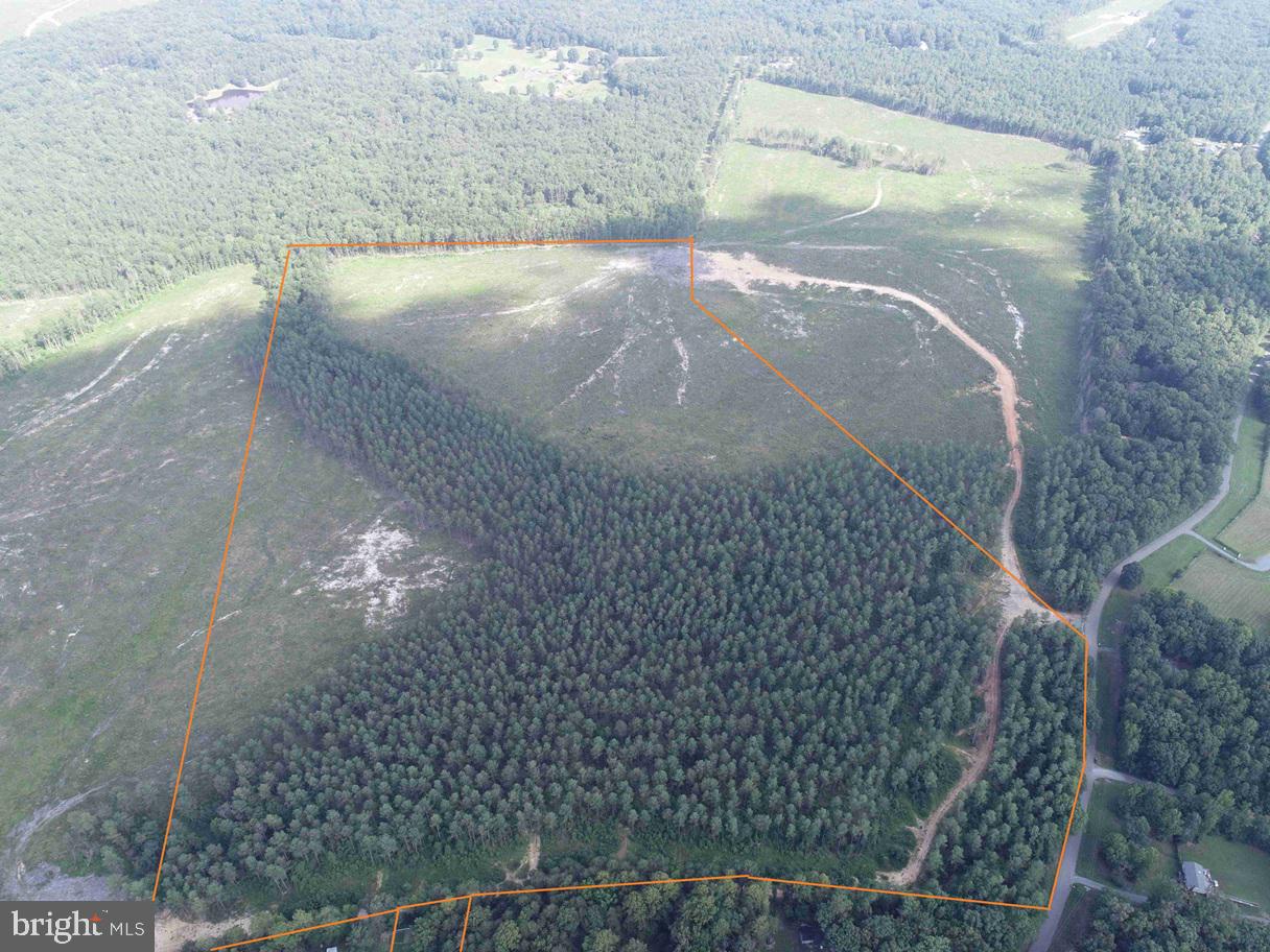 HOLLAND ROAD (TRACT: JR BEDFORD-BOWLES_SIMS-1), COLUMBIA, Virginia 23038, ,Farm,For sale,HOLLAND ROAD (TRACT: JR BEDFORD-BOWLES_SIMS-1),VAFN2000516 MLS # VAFN2000516