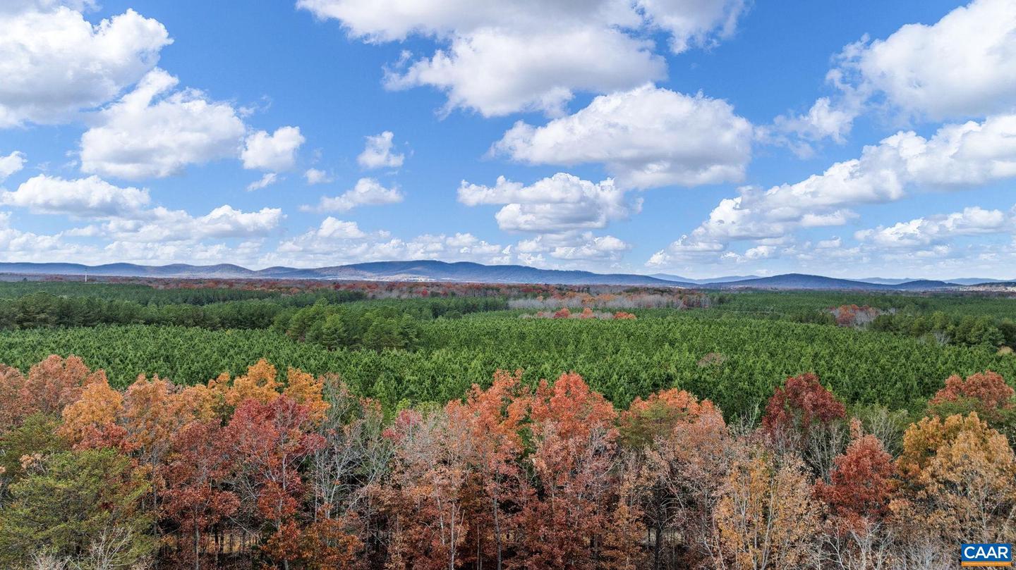 PINEHURST DR #PHASE II LOT 201, GORDONSVILLE, Virginia 22942, ,Land,For sale,PINEHURST DR #PHASE II LOT 201,672417 MLS # 672417 PINEHURST DR #PHASE II LOT 201, GORDONSVILLE, Virginia 22942, ,Land,For sale,PINEHURST DR #PHASE II LOT 201,672417 MLS # 672417