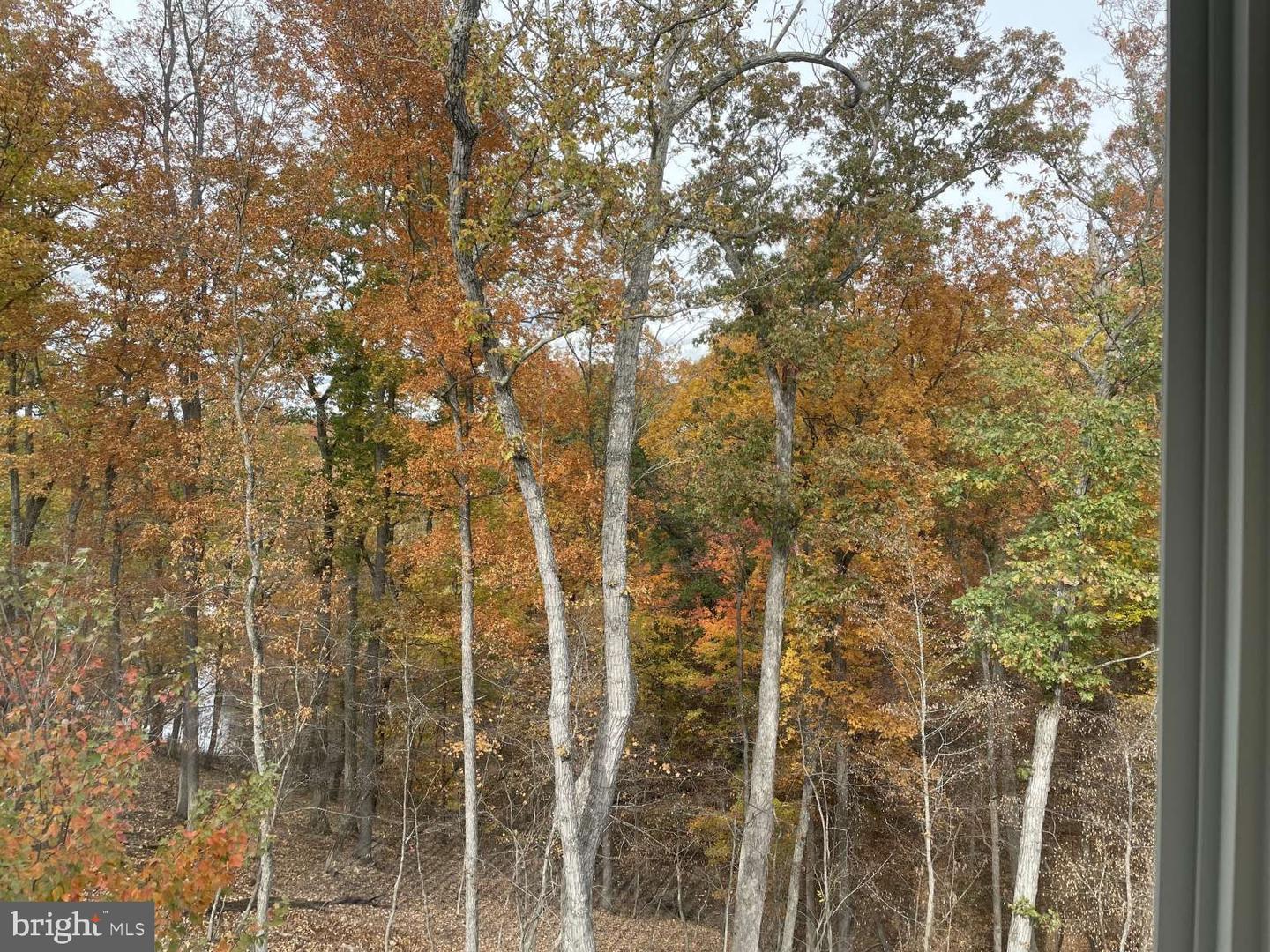 124 PIMPERNEL PL, LAKE FREDERICK, Virginia 22630, 3 Bedrooms Bedrooms, 7 Rooms Rooms,3 BathroomsBathrooms,Residential,For sale,124 PIMPERNEL PL,VAFV2039024 MLS # VAFV2039024