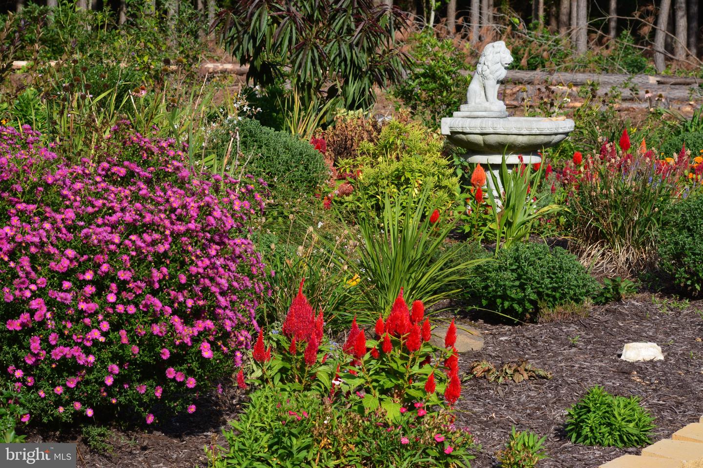 10041 TARRINGTON WAY, SPOTSYLVANIA, Virginia 22551, 5 Bedrooms Bedrooms, ,4 BathroomsBathrooms,Residential,For sale,10041 TARRINGTON WAY,VASP2038296 MLS # VASP2038296